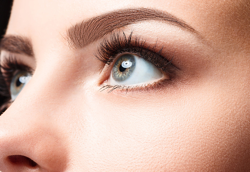 Levantamiento de Cejas
